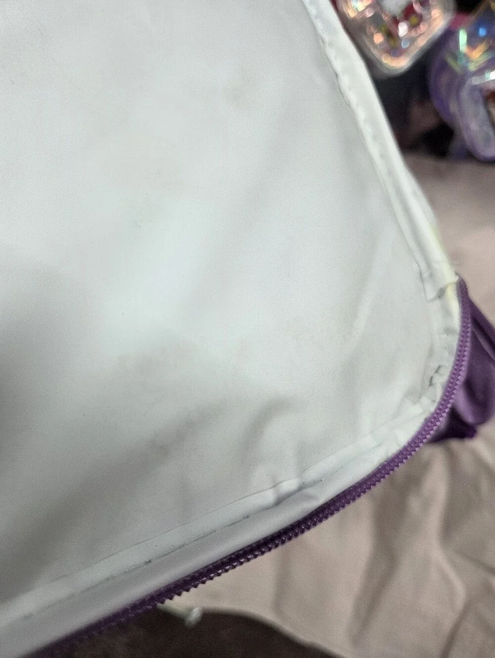 Dora Lunchbag